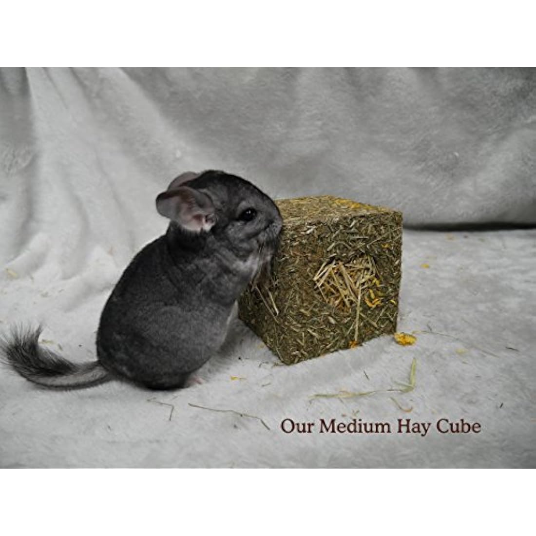 Rosewood Naturals Meadow Hay Forage Cube – Large Small Animal Chew Toy