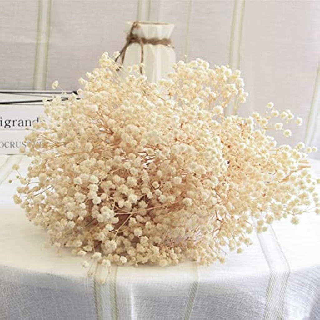 OUKEYI Dried Baby's Breath Bouquet | 17" Ivory White Gypsophila Flowers