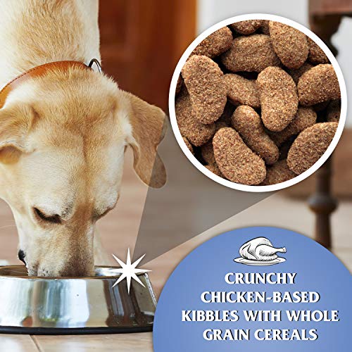 Dr John Silver Chicken & Vegetable Dry Dog Food - 15kg Adult & Senior