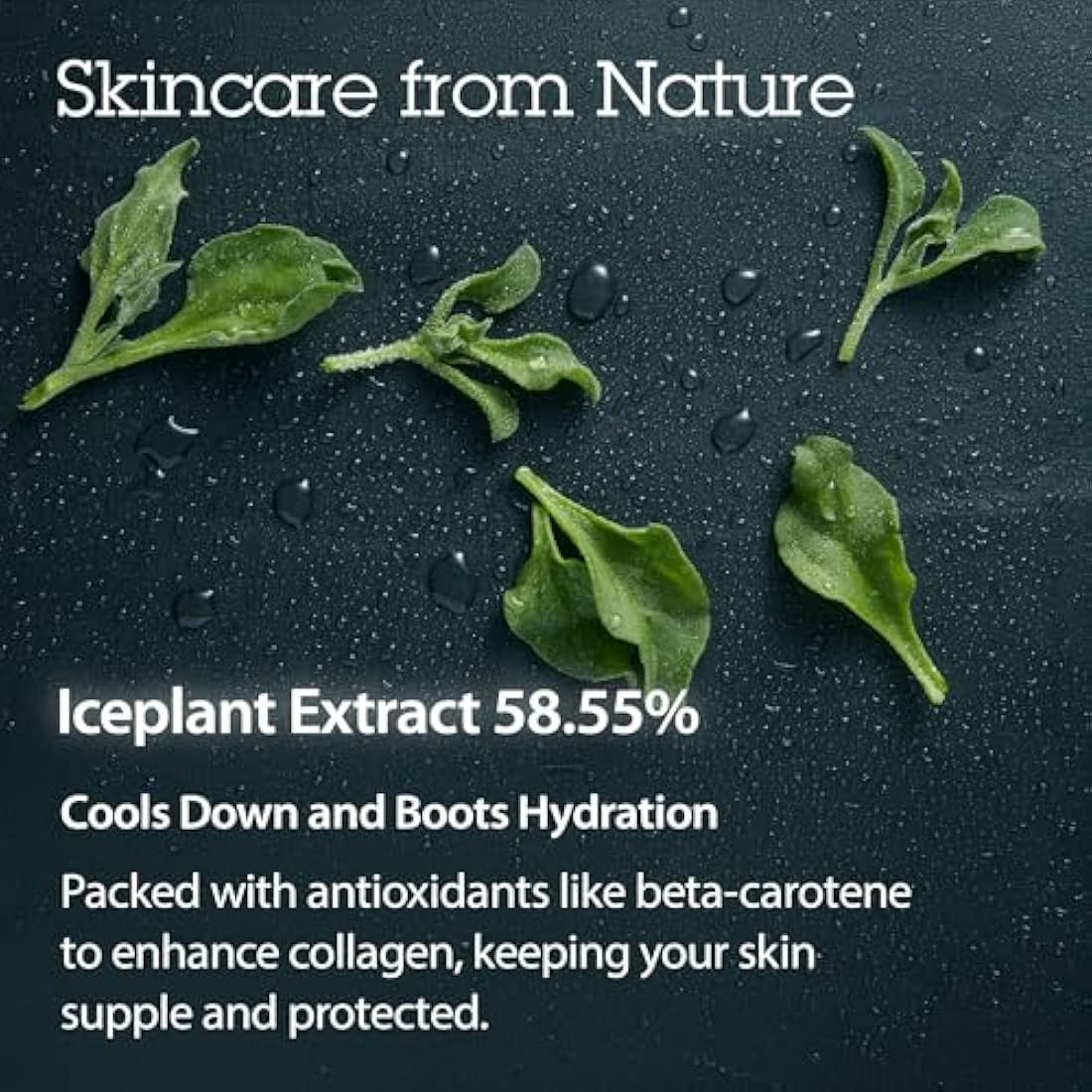 BLITHE Crystal Iceplant Pressed Serum – Soothing Face Moisturizer Gel