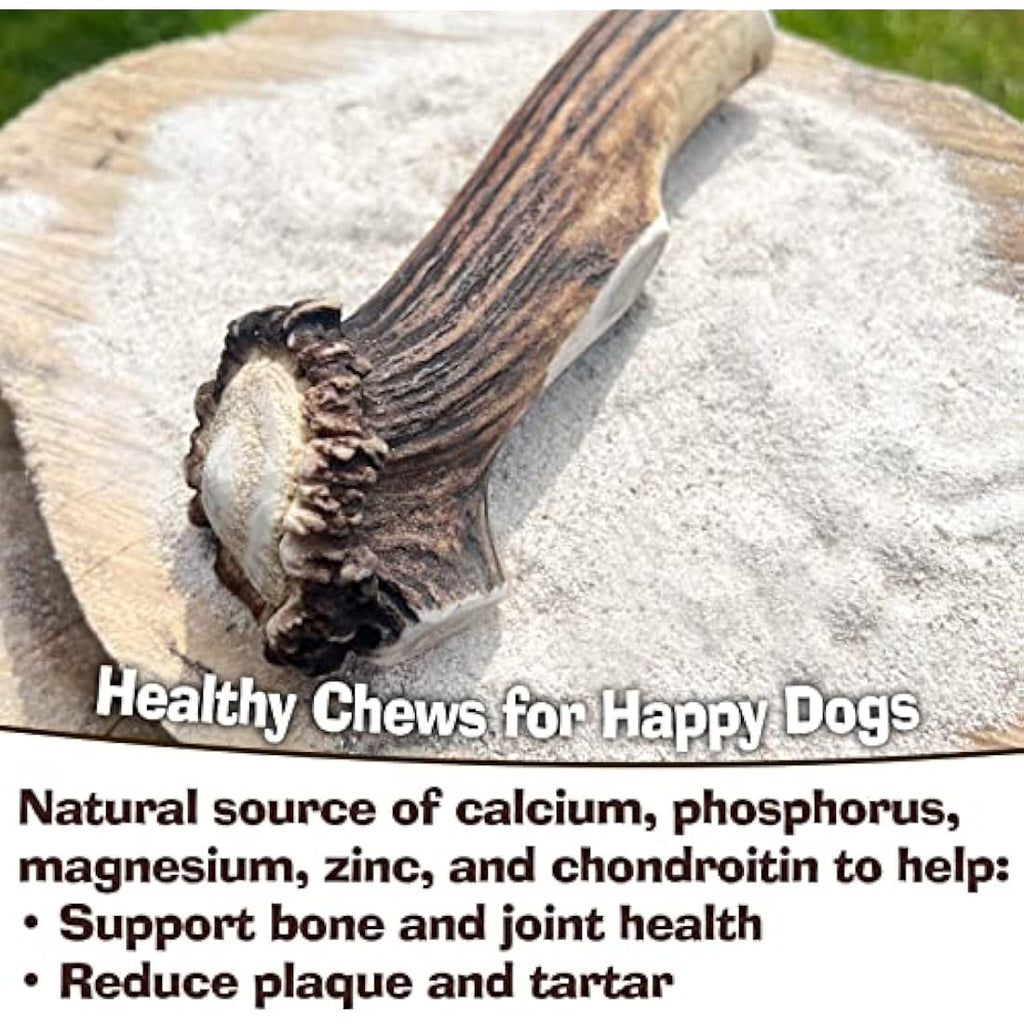 Jolof Store Antler Dog Chew – Super Extra Large Natural Deer Antler