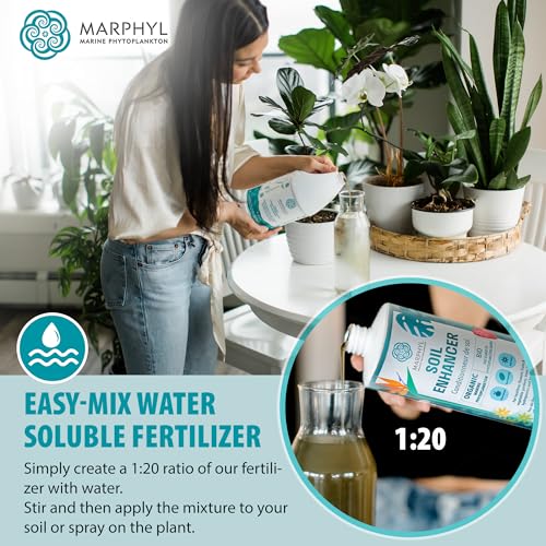 MARPHYL Organic Liquid Fertilizer – Marine Phytoplankton Plant Food