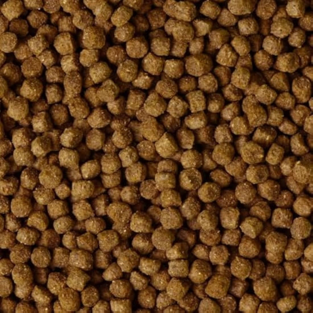 Pettex Premium Pond Pellets 10kg – Floating Fish Food with Vitamin C