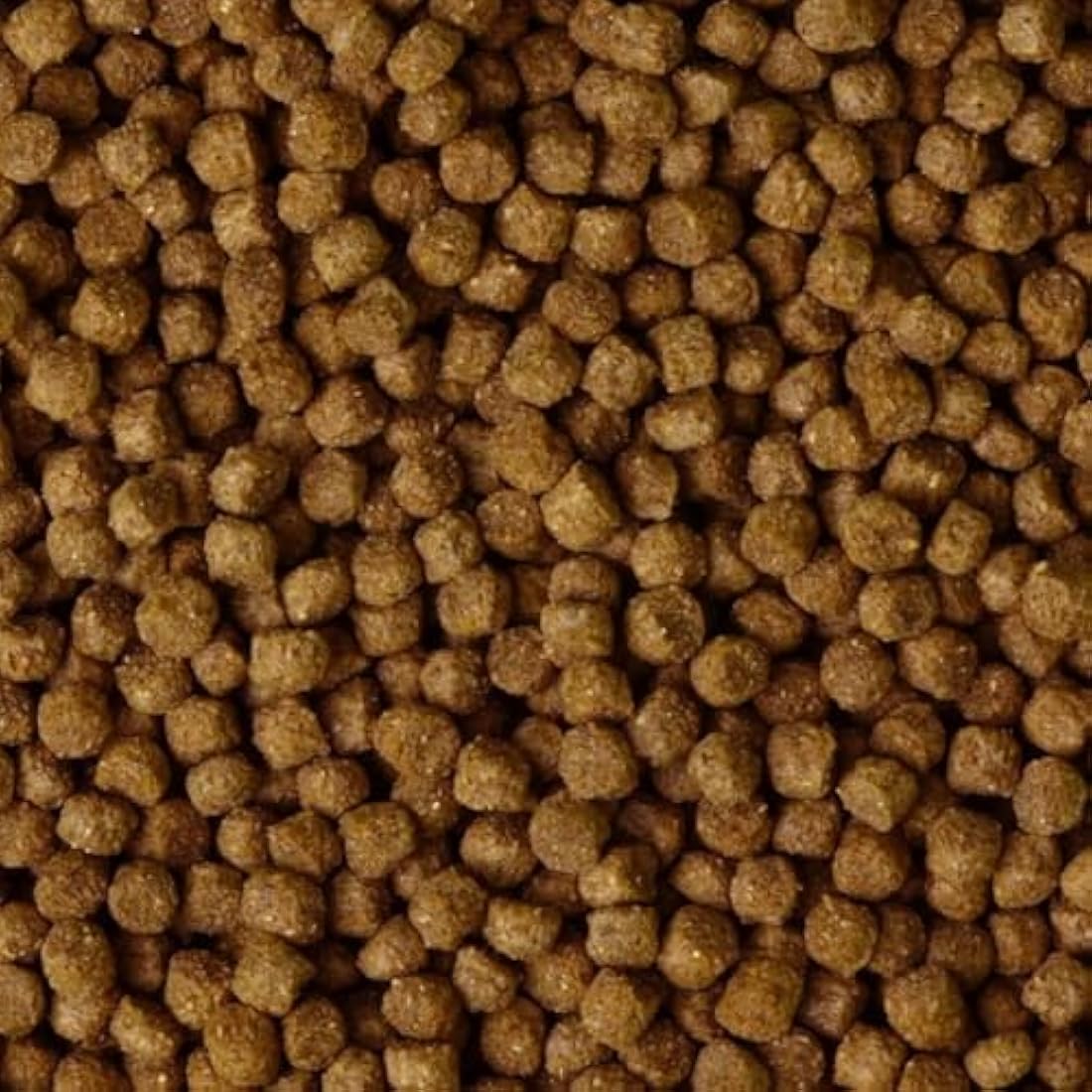 Pettex Premium Pond Pellets 10kg – Floating Fish Food with Vitamin C