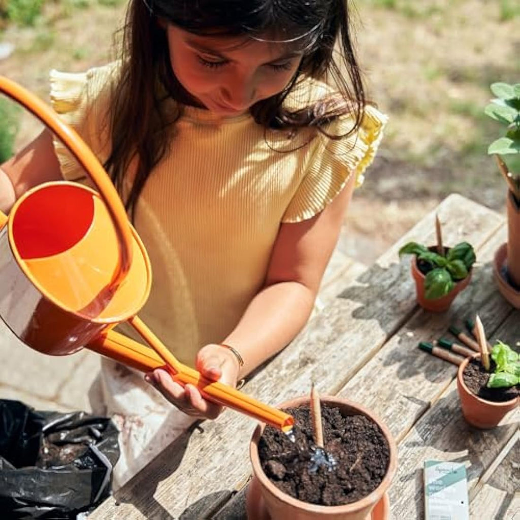 SproutWorld Plantable Pencils | Grow a Garden Box | 100 Pack Bulk Wood HB