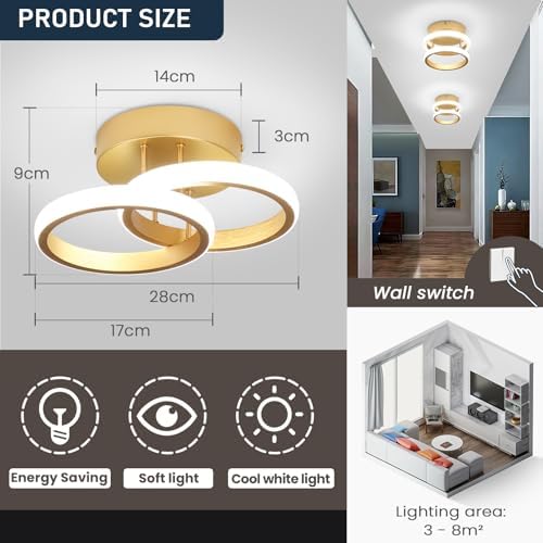 Jolof Store Modern LED Ceiling Light – 22W Gold Flush Mount 6000K