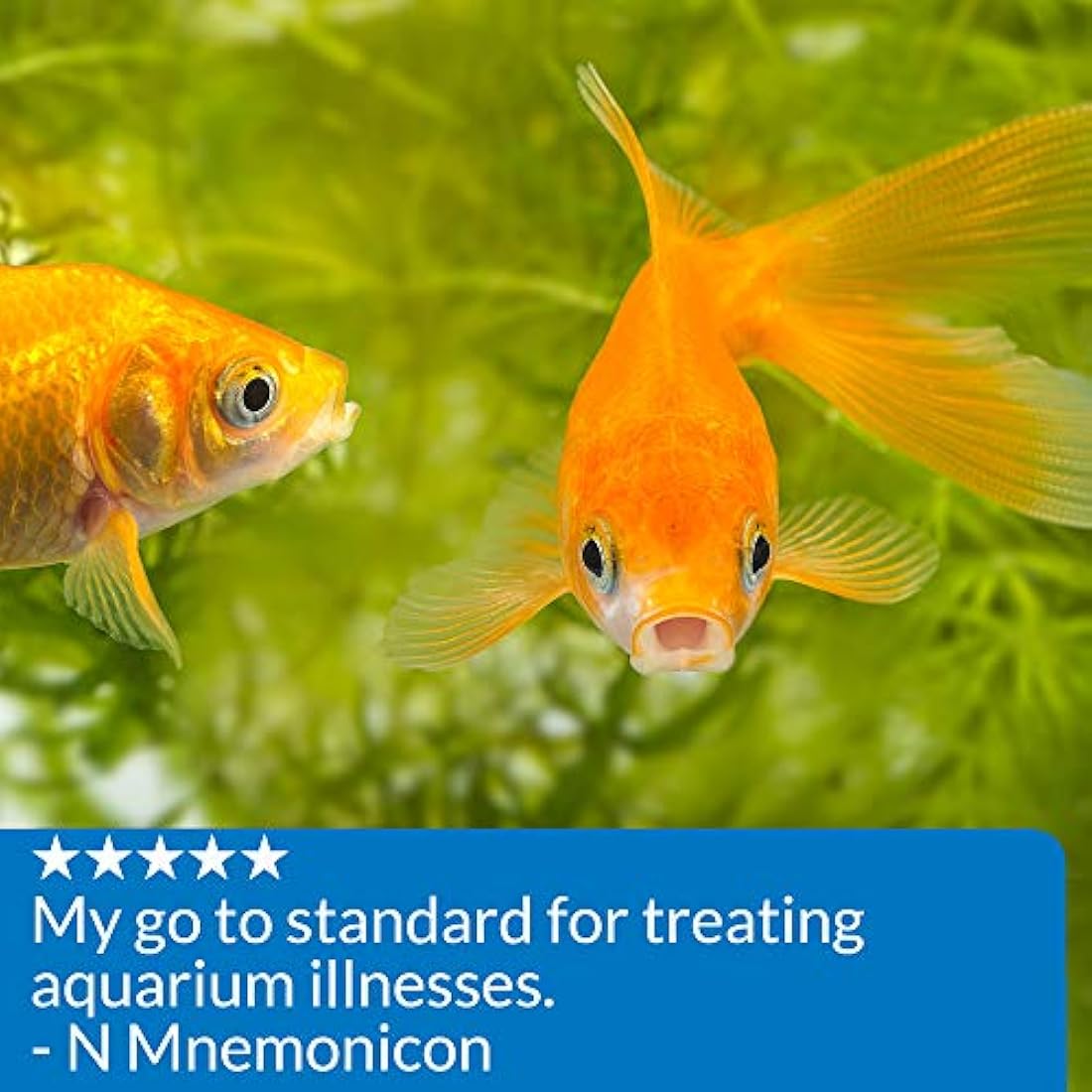 API Pimafix Antifungal Fish Remedy – Natural Treatment for Aquariums, 237ml