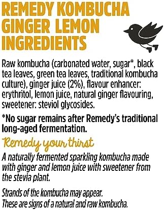 Remedy Raw Kombucha Tea – Sugar Free Ginger Lemon – 250ml Cans (24 Pack)