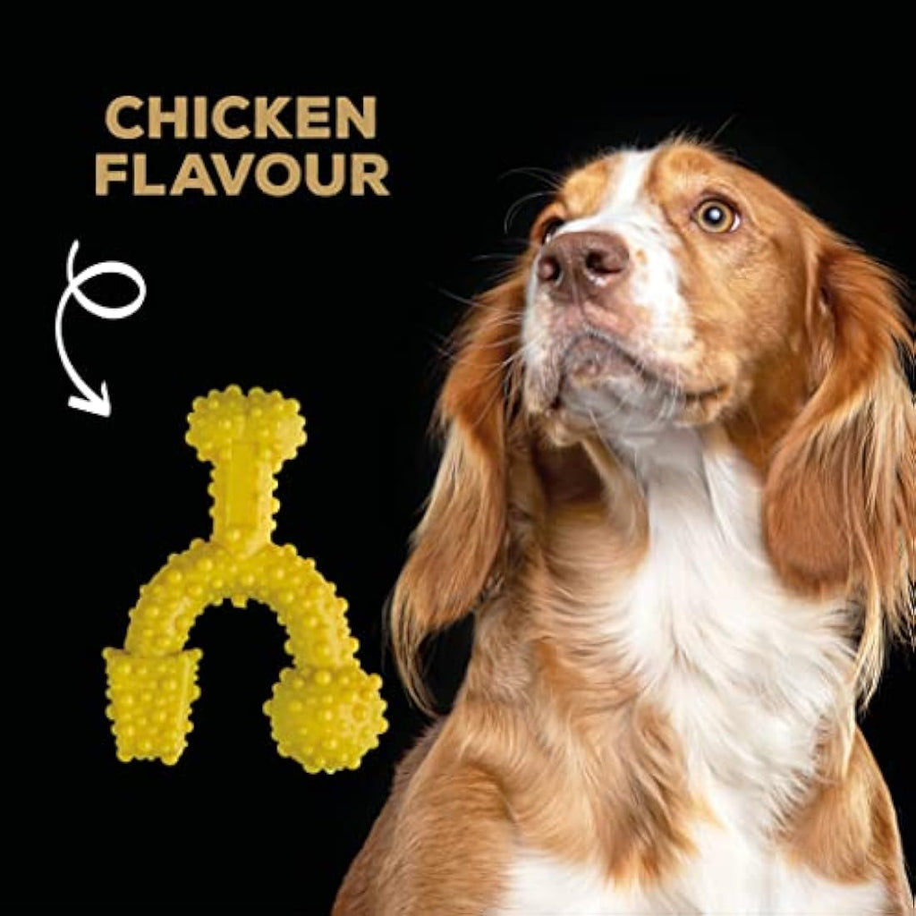 TastyBone TrioBone Nylon Dog Chew Toy for Small Dogs | Chicken Flavor