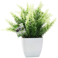 OFFIDIX Artificial Green Plant with Square Vase – Faux Potted Decor