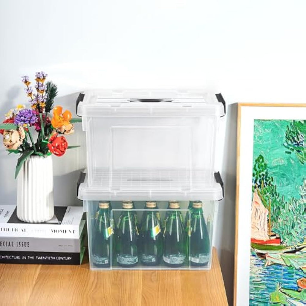 Cetomo 20L Clear Plastic Storage Boxes with Lids and Handles – 4 Pack