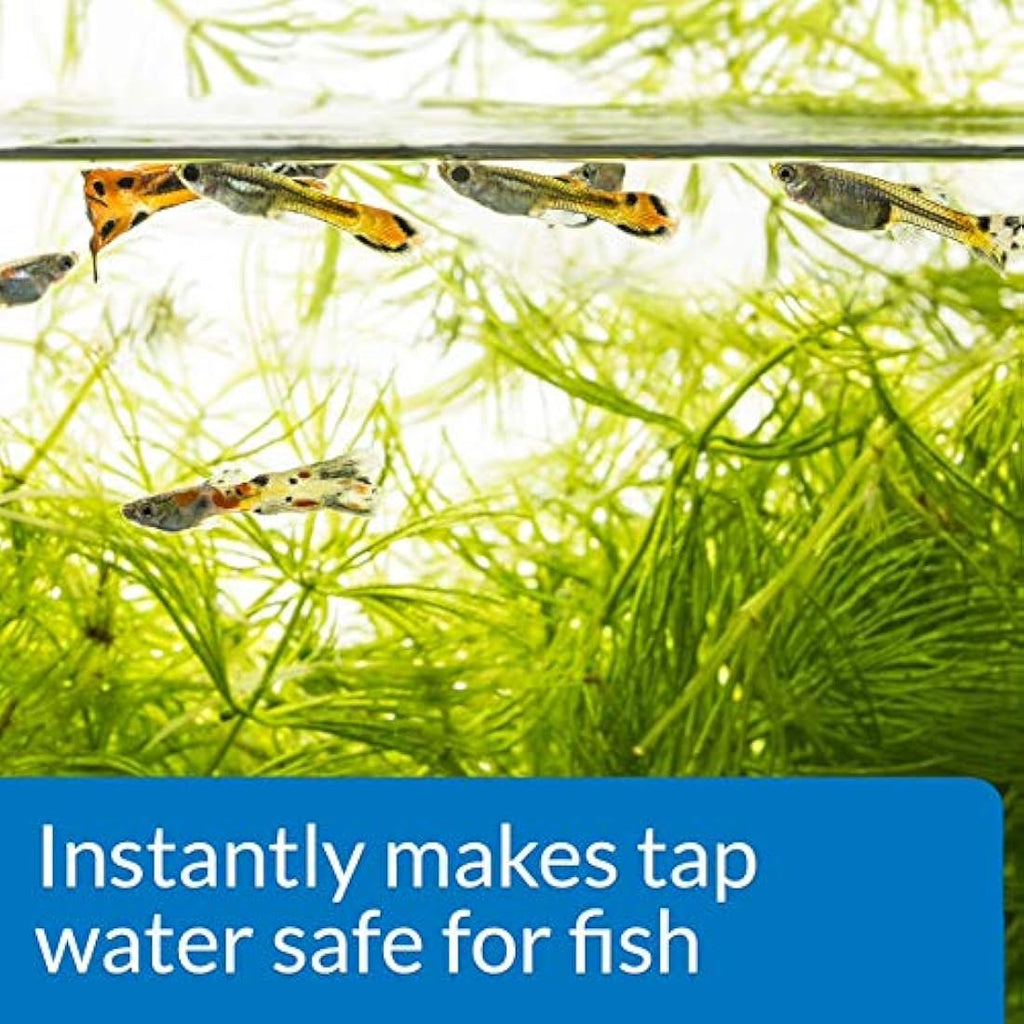 AQUARIAN Tap Water Safe Aquarium Water Conditioner - 118 ml Bottle
