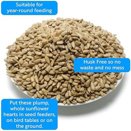 RSPB Sunflower Hearts Wild Bird Food – 4kg High Energy Bird Seed
