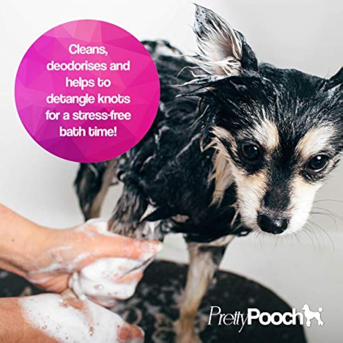 Jolof Store Baby Powder Dog Shampoo & Conditioner for Sensitive Skin - 5L
