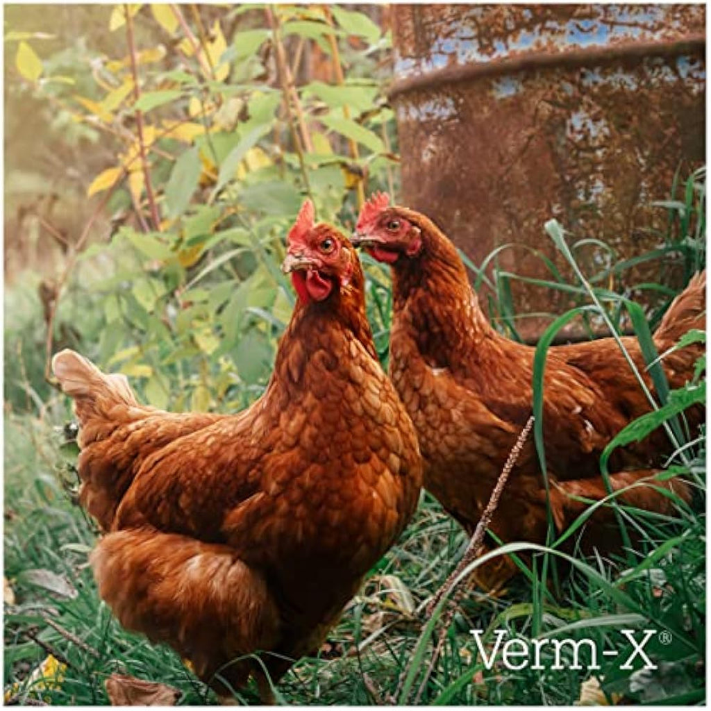 Verm-X Natural Poultry Liquid – Intestinal Hygiene & Gut Health - 500ml