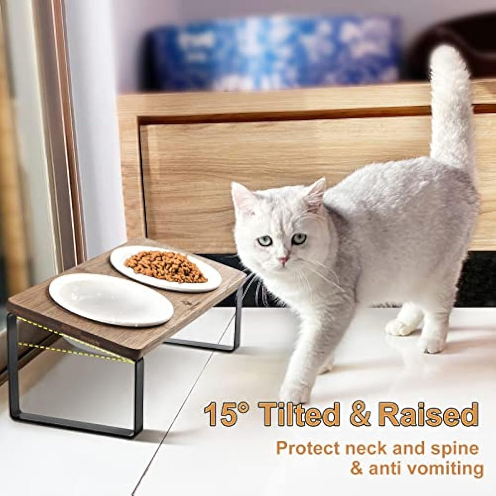 GUUSII HOME Elevated Cat Bowl – Tilted Ceramic Dishes with Bamboo Stand