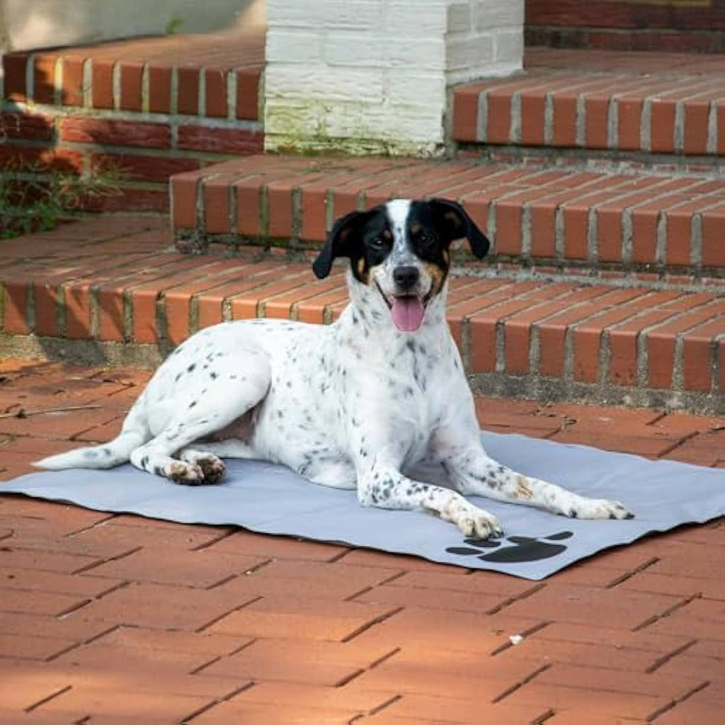 dobar Self-Cooling Dog Mat – Large Gel Cooling Blanket for Pets, Grey