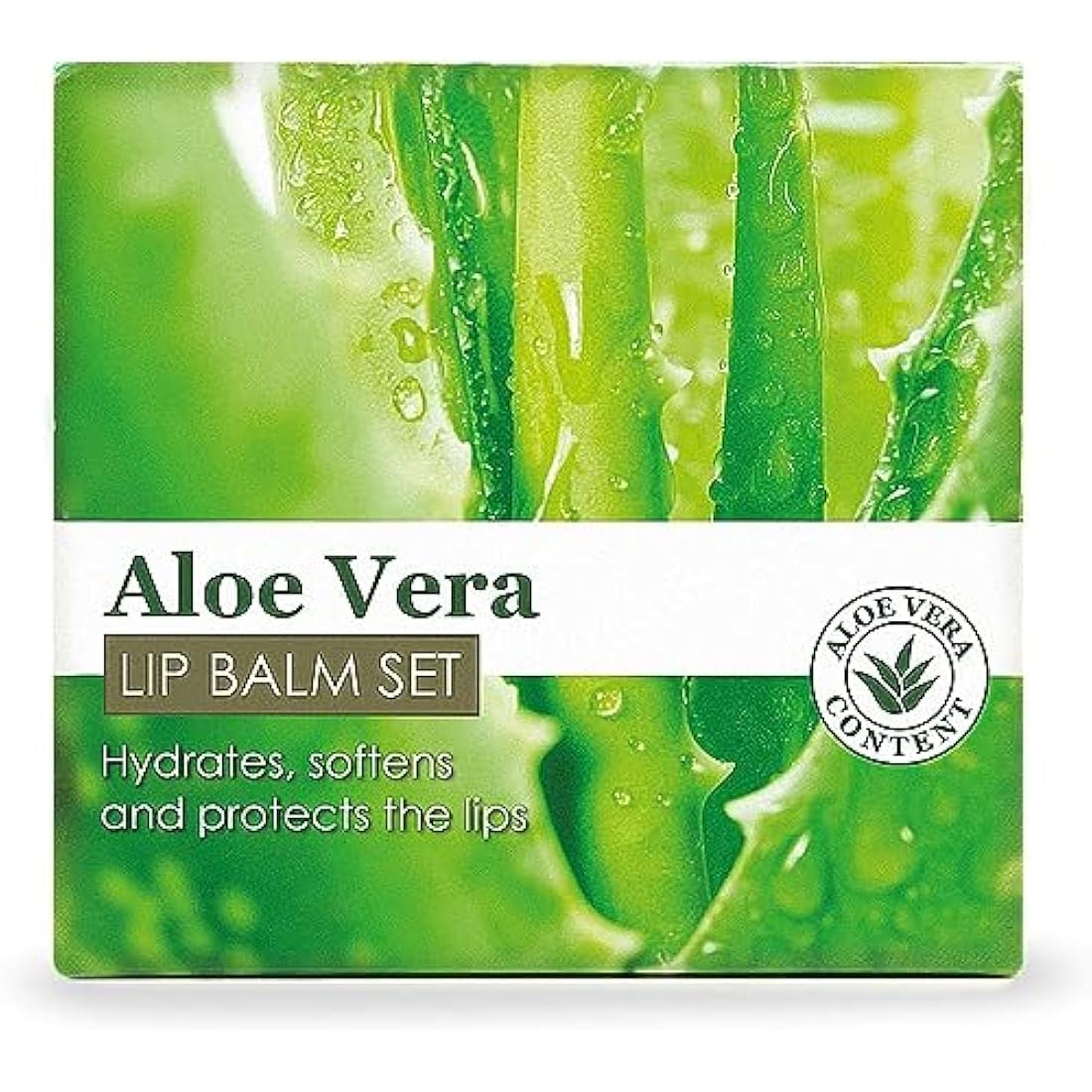 Beauty4Britain Aloe Vera Lip Balm - Bulk 72 Pack Wholesale Lip Care