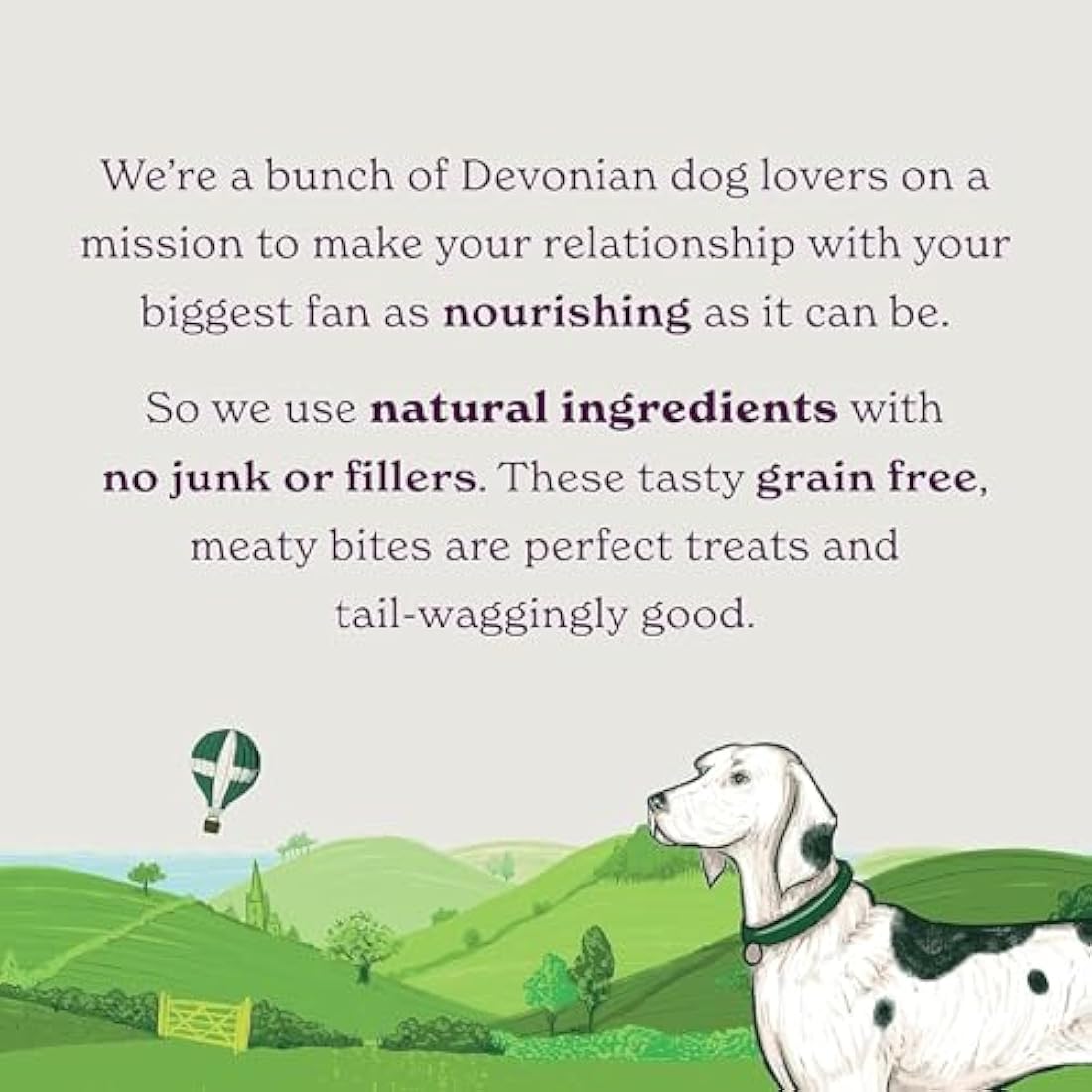 Forthglade Meaty Nibbles – Grain Free Chicken & Liver Dog Treats (10x70g)