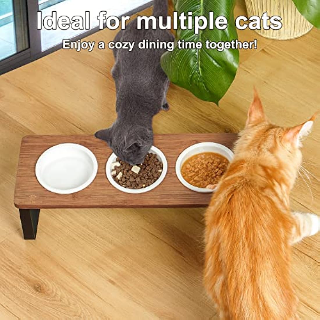 GUUSII HOME Raised Cat Bowl - Tilted Ceramic Elevated Feeding Station