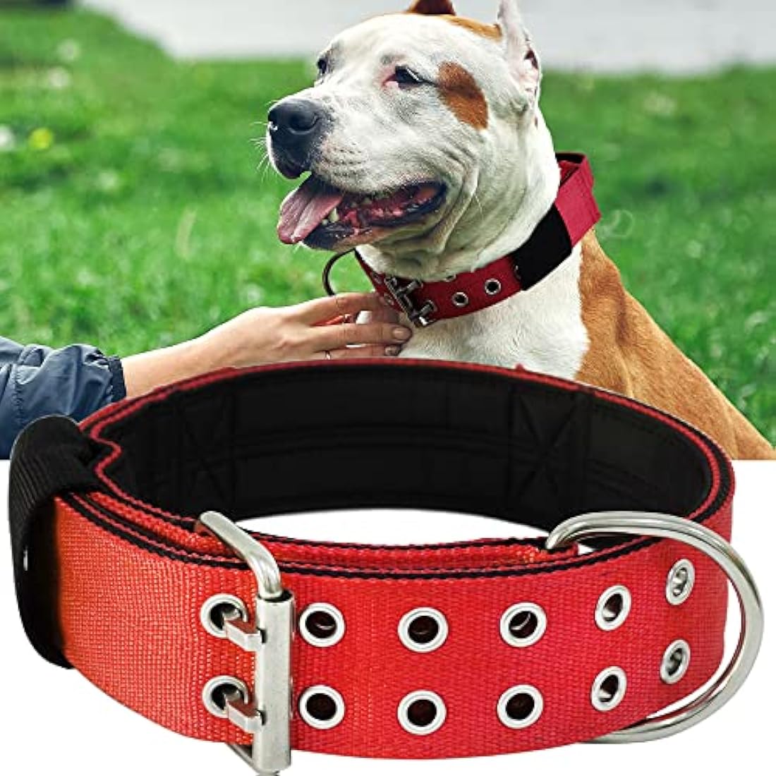 Tactical Dog Collar – Wide Padded Nylon with Handle, Red