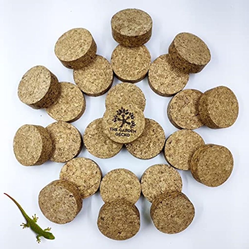 The Garden Gecko Cork Pot Feet – 24 Pack Sustainable Plant Pot Risers