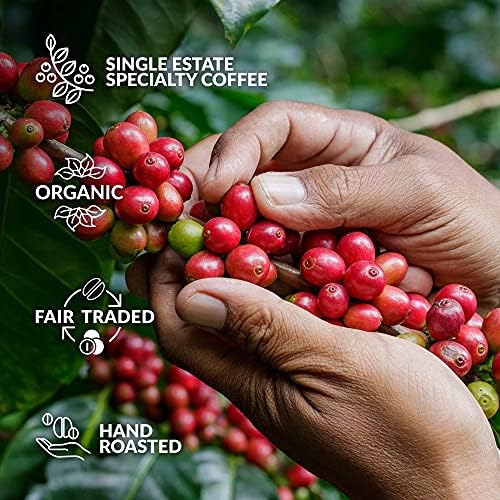 Organic Specialty Coffee Gift Set – 5 Single Estate Brewers