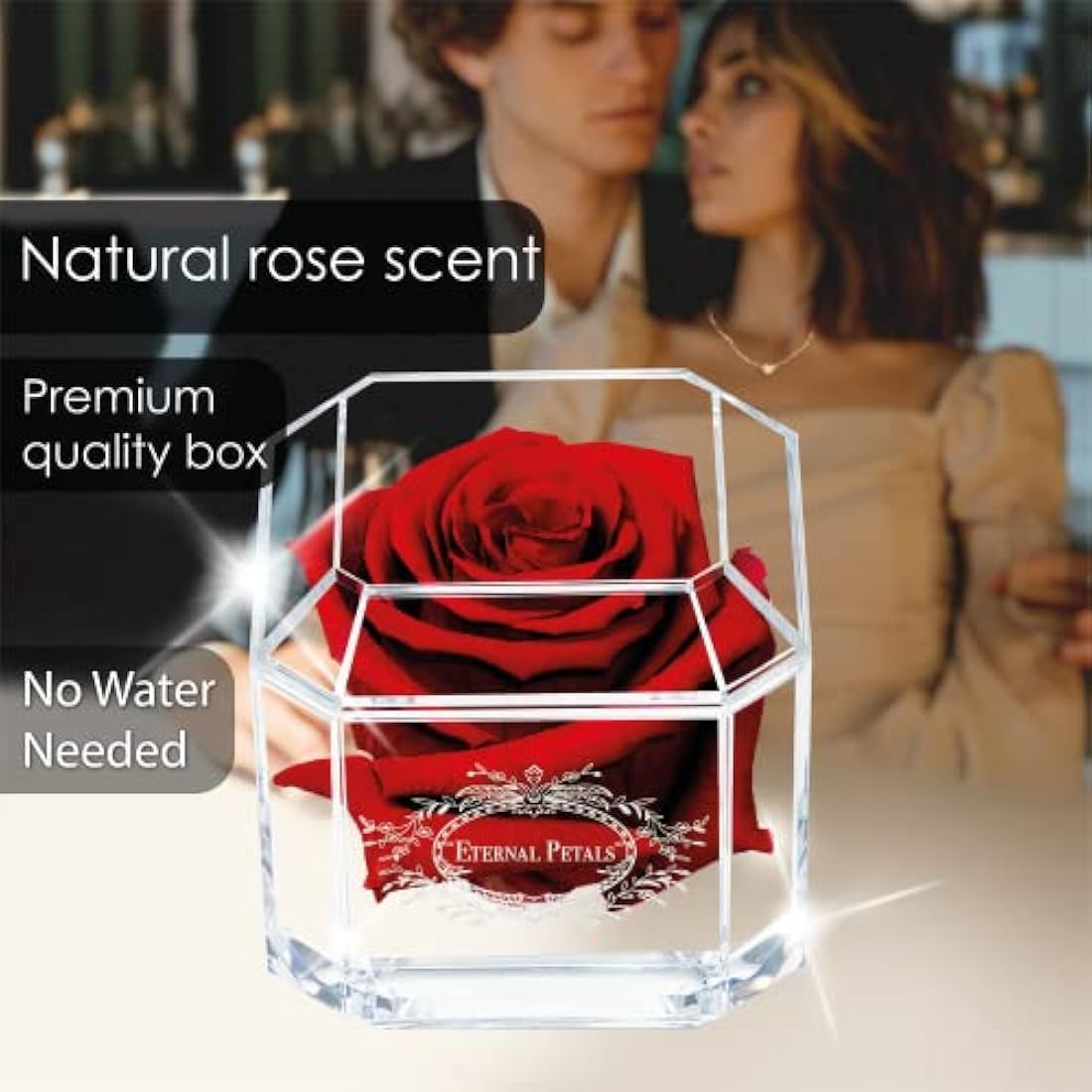 Eternal Petals Preserved Real Rose – Deep Red Infinity Rose in Gift Box