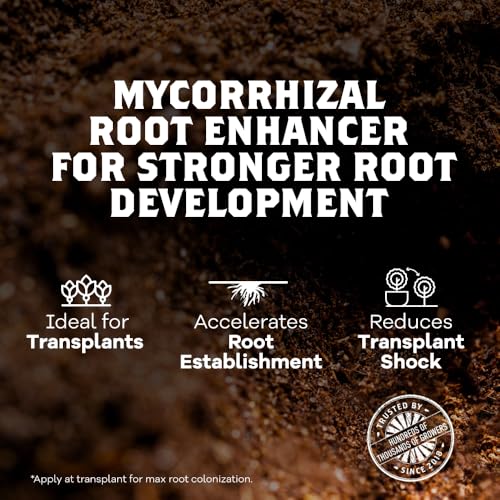 DYNOMYCO Granular Mycorrhizal Fungi Inoculant - 200g OMRI Listed