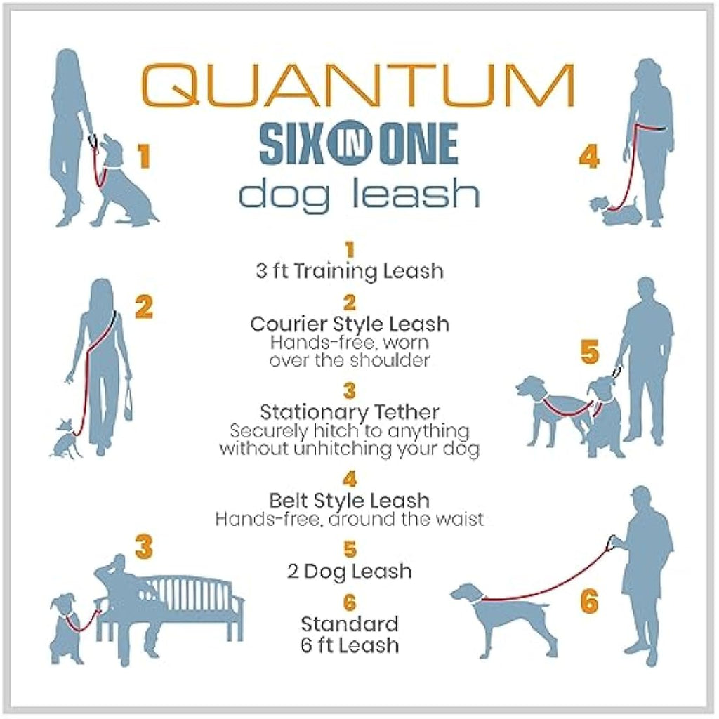 Jolof Store Quantum V2 6-in-1 Hands-Free Dog Leash - Reflective Violet