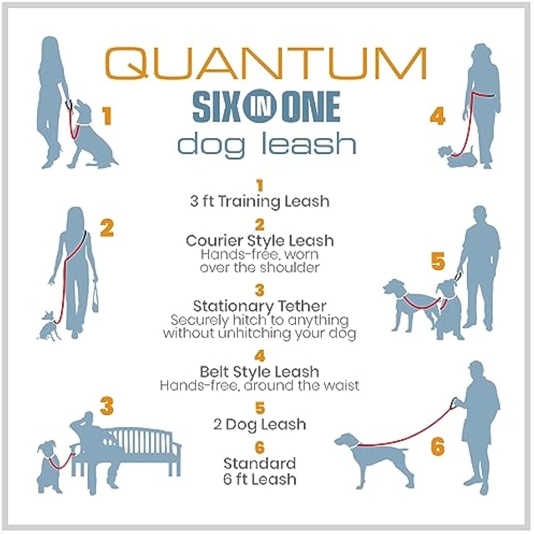 Jolof Store Quantum V2 6-in-1 Hands-Free Dog Leash - Reflective Violet