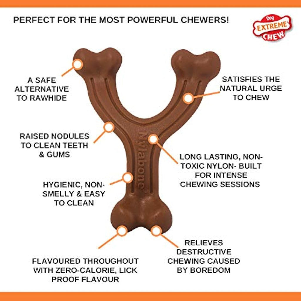 Nylabone Extreme Tough Wishbone Dog Chew Toy - Bison Flavour, Small