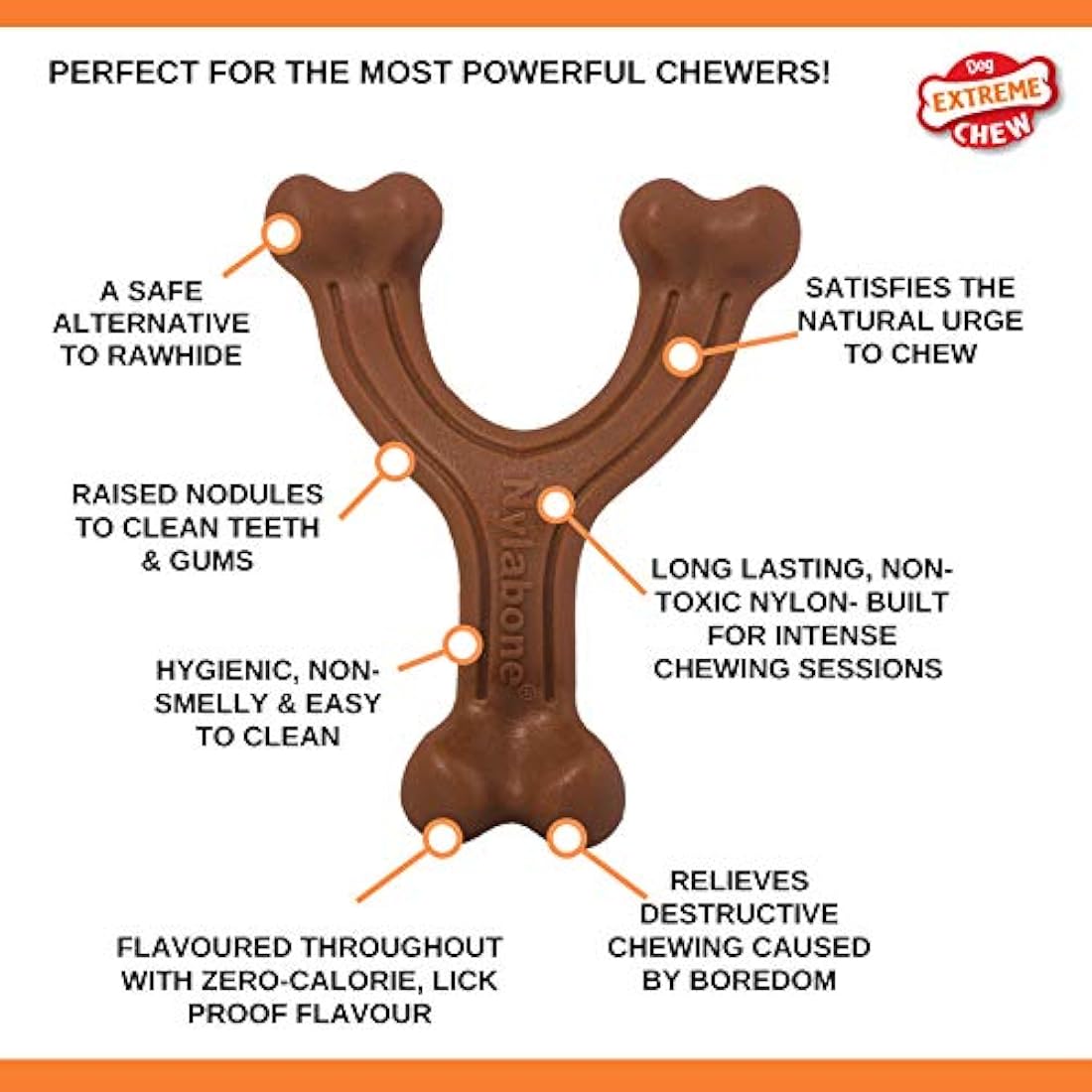 Nylabone Extreme Tough Wishbone Dog Chew Toy - Bison Flavour, Small