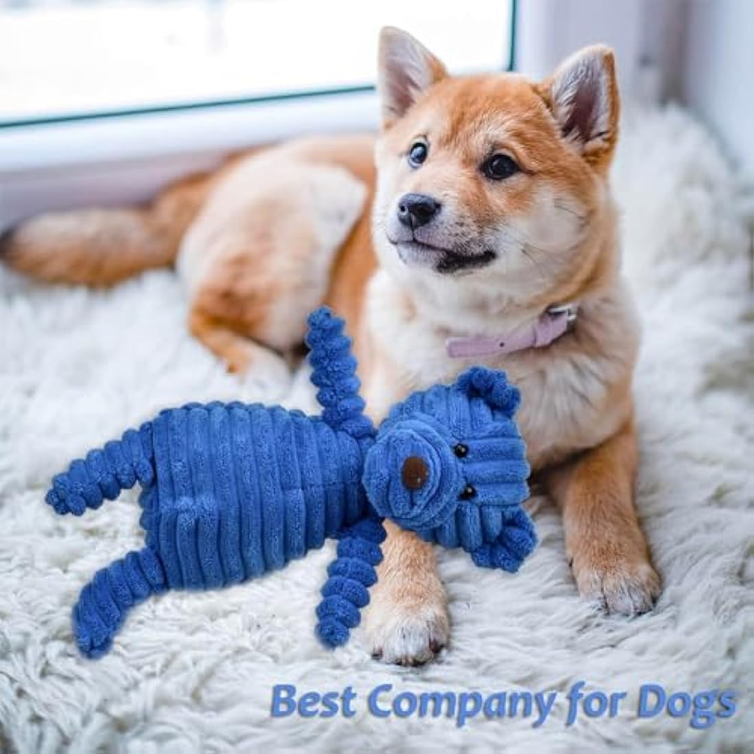 5-Pack Squeaky Plush Dog Toys for Aggressive Chewers