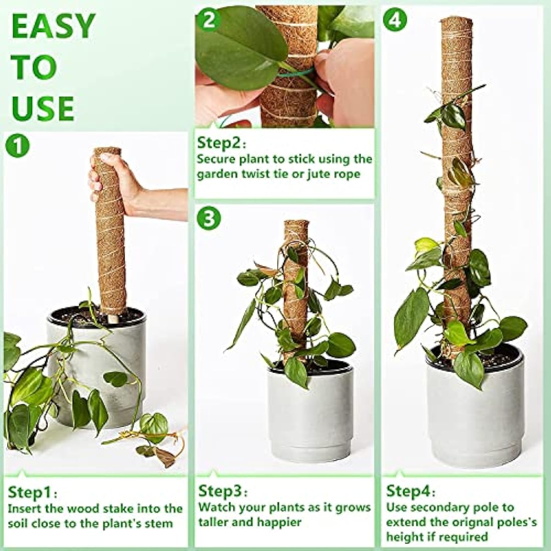 Jolof Store 56 Inch Moss Pole for Monstera | 4 Pcs Coir Totem Pole Set