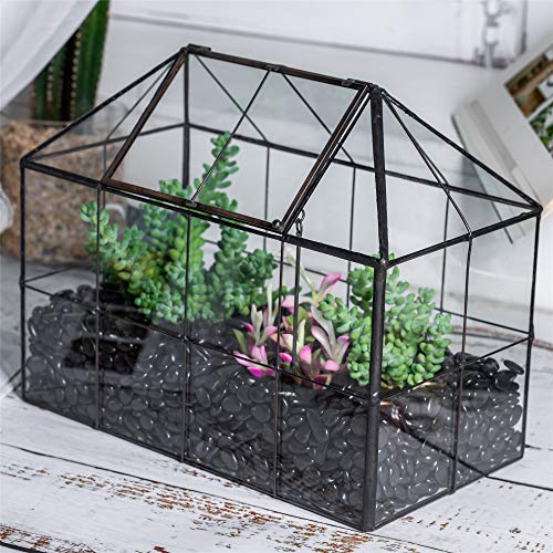NCYP Geometric Glass Terrarium – House Shape Indoor Succulent Planter