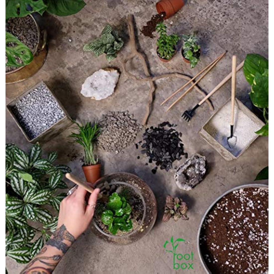 DIY Succulent Terrarium Kit – Large Indoor Plant Gift Box
