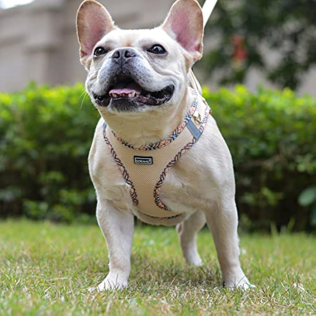 DORAMIO Step-in Dog Harness and Leash Set | Reflective Mesh Vest – Beige
