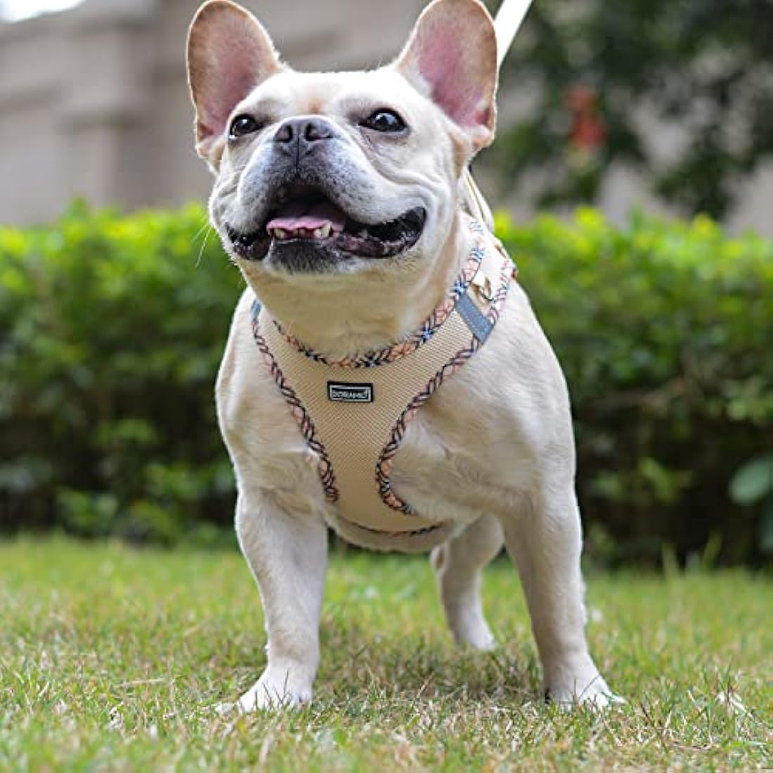 DORAMIO Step-in Dog Harness and Leash Set | Reflective Mesh Vest – Beige