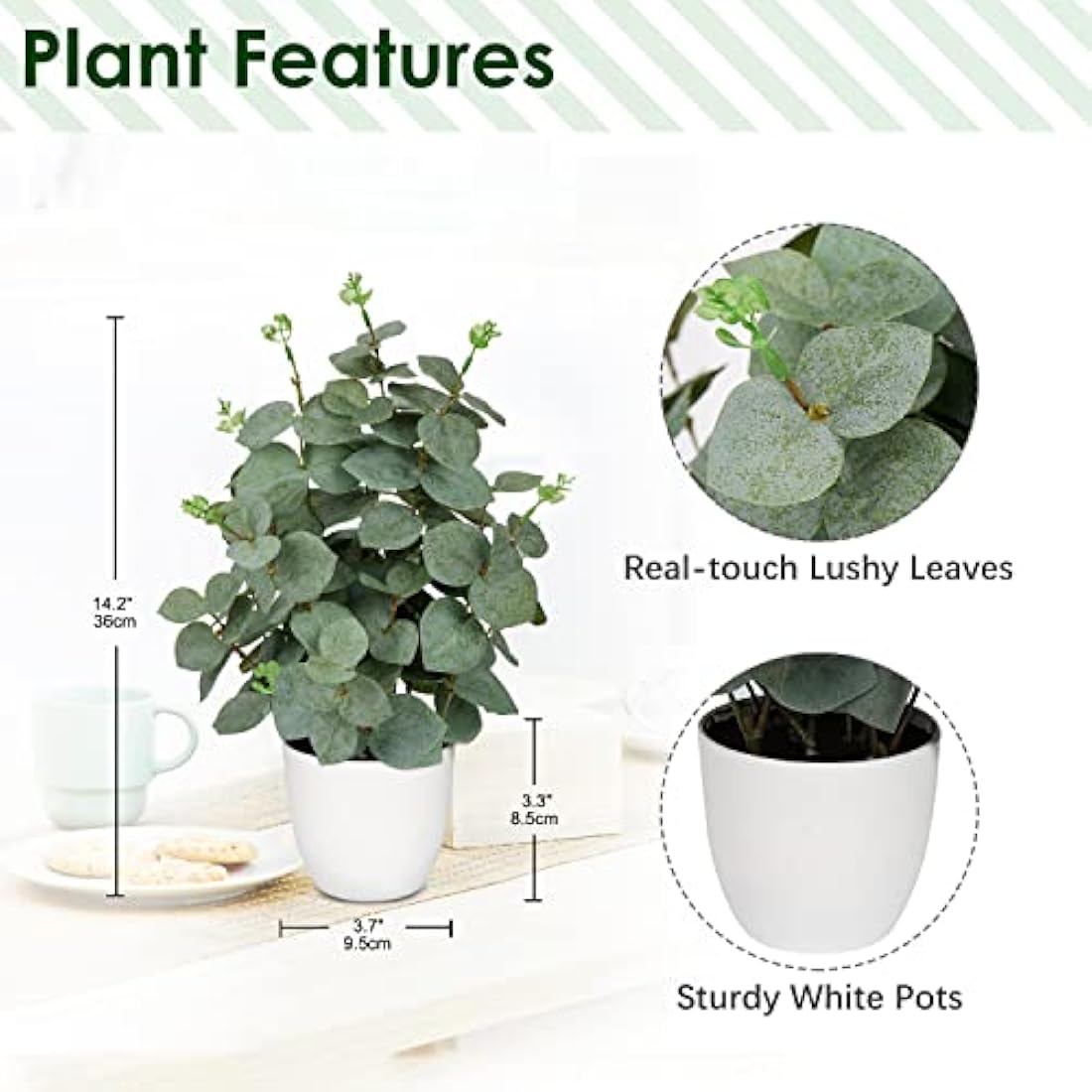 Artificial Eucalyptus Plant in White Pot - 36cm Faux Greenery