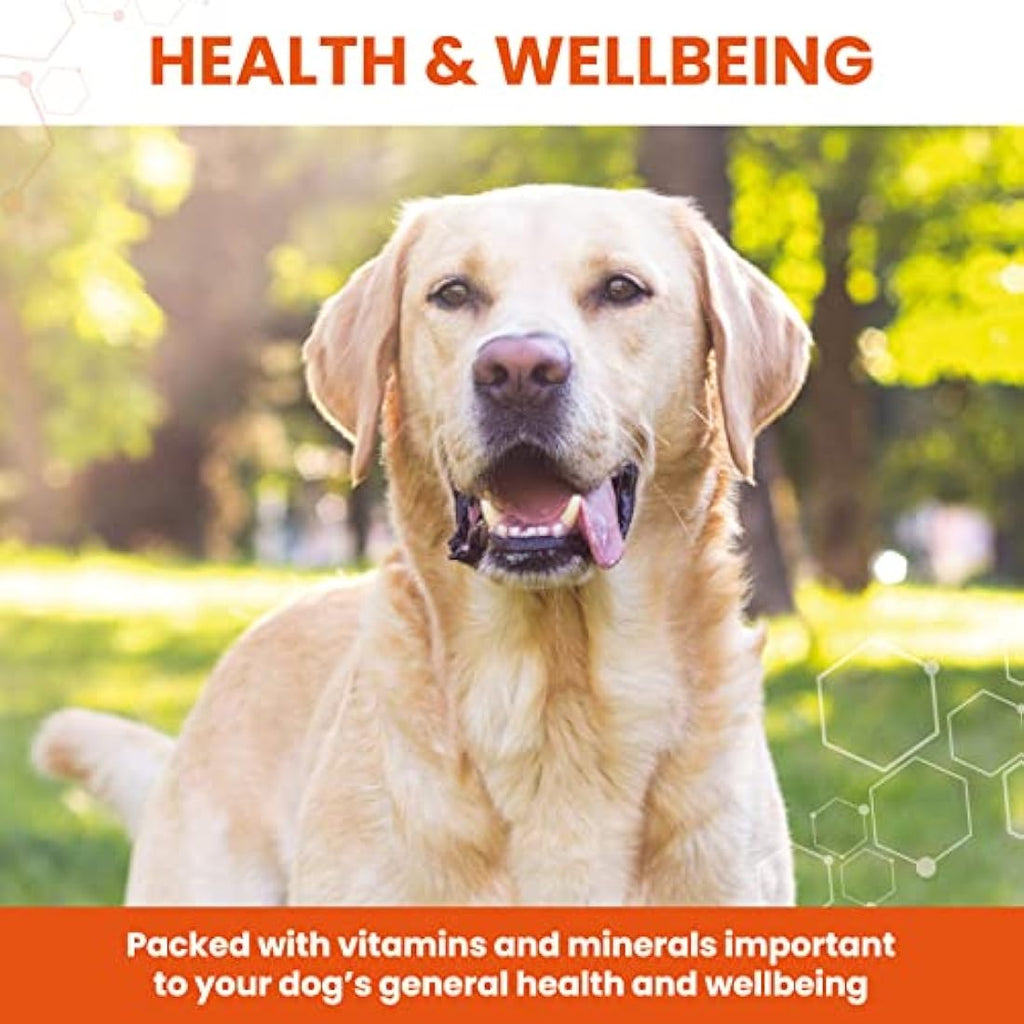 Vetzyme Dog Conditioning Tablets | B-Complex Vitamins | 3000 Count