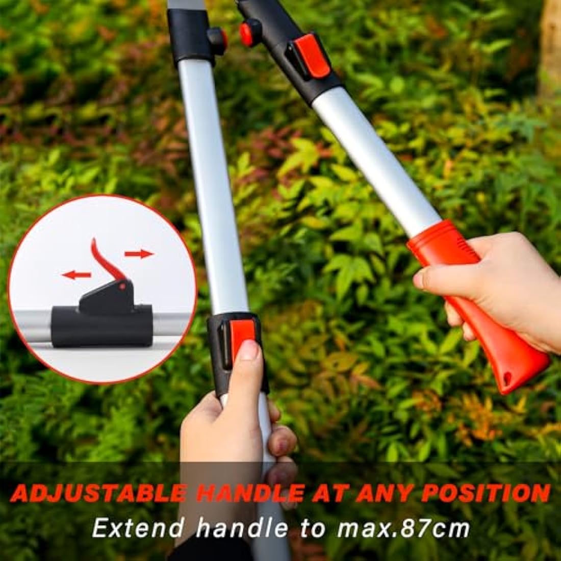 FLORA GUARD Telescopic Hedge Shears – Extendable SK5 Carbon Steel