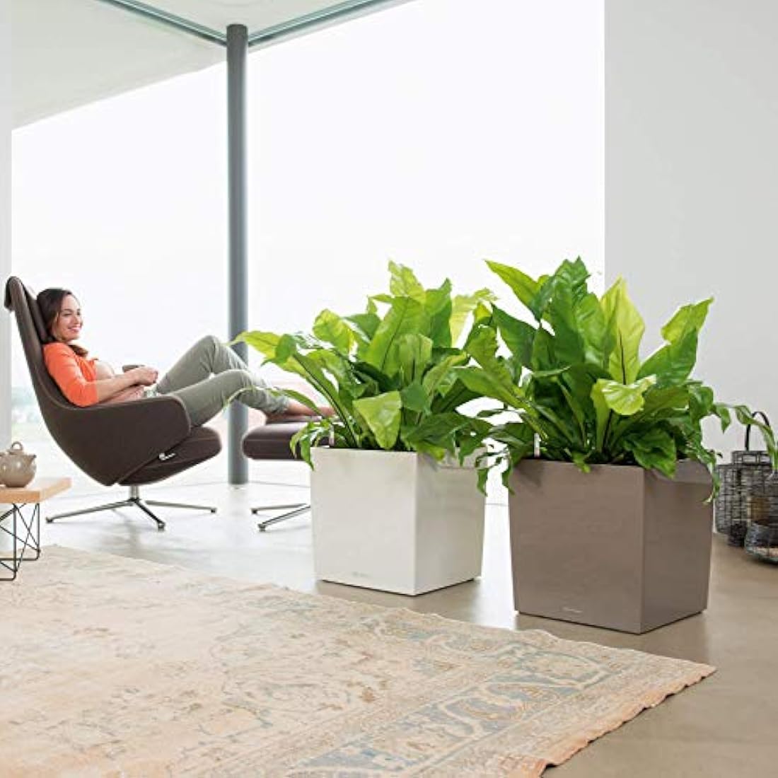 LECHUZA CUBE Premium 40 Self-Watering Planter – Taupe High Gloss
