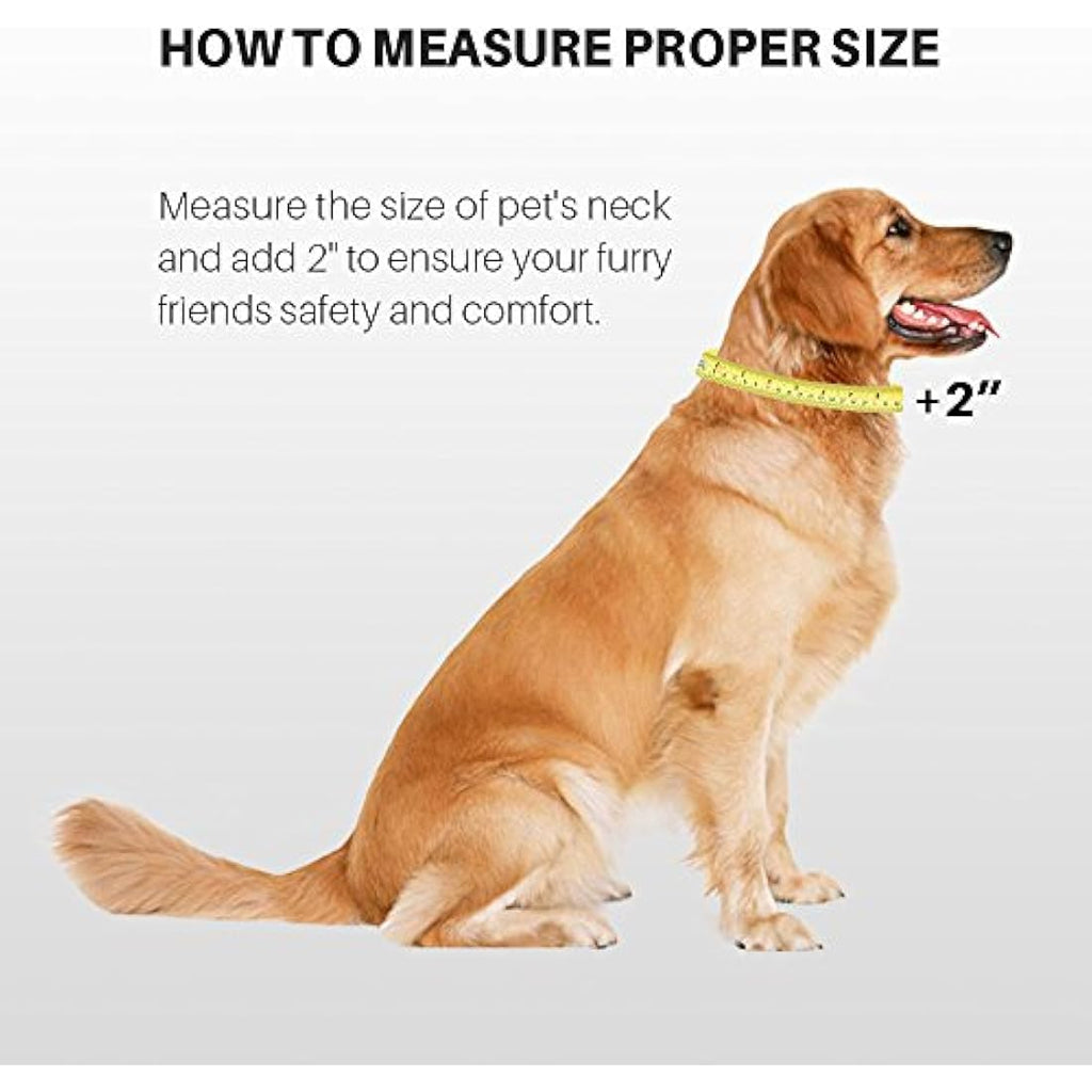 Hyhug  Martingale Nylon Dog Collar – Large, Lime Green
