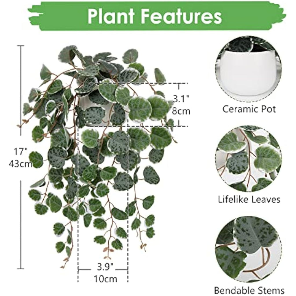 Hollyone Artificial String of Hearts Potted Plant – Faux Trailing Greenery