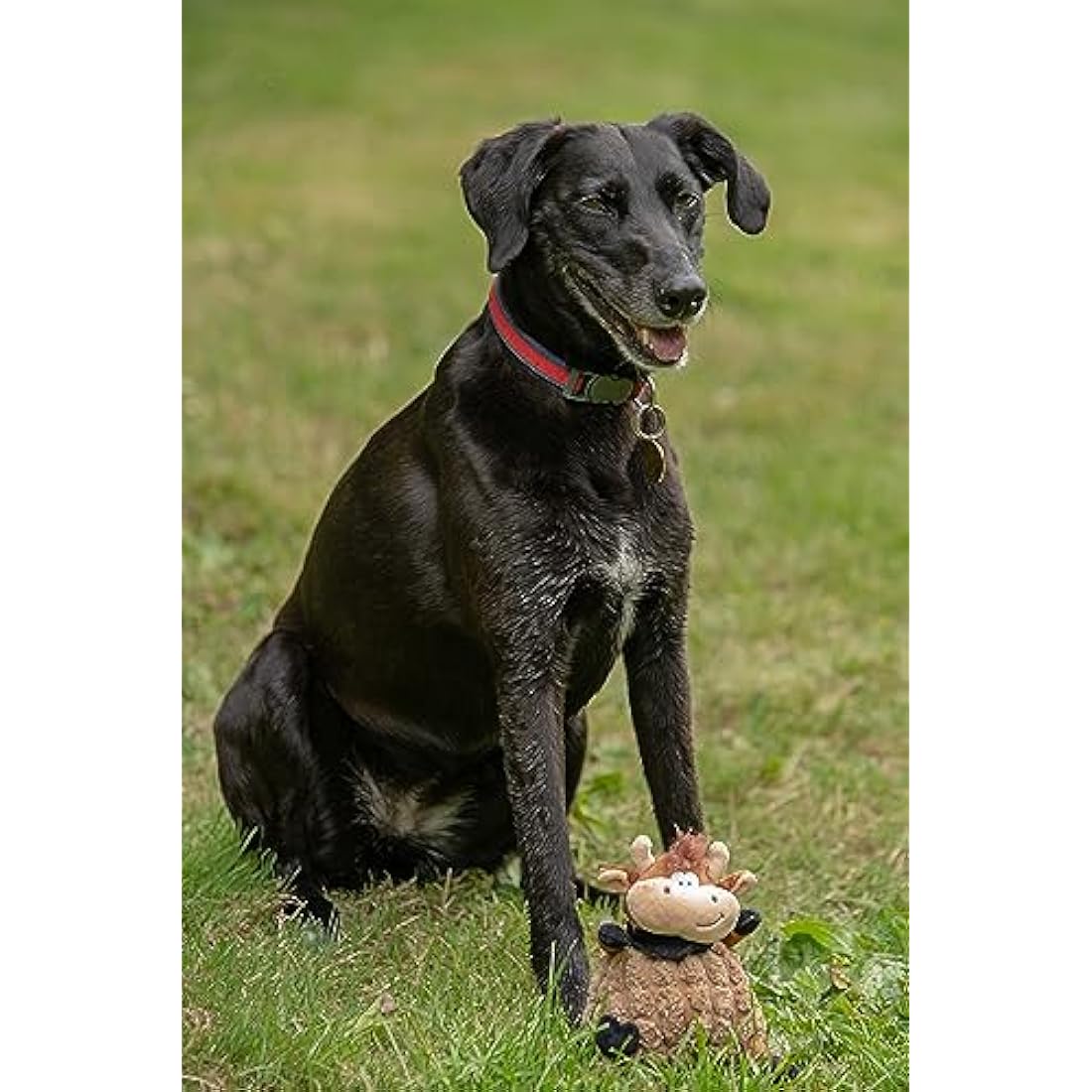 Petface Chunky Cow Plush Dog Toy – Durable Squeaky Interactive Toy