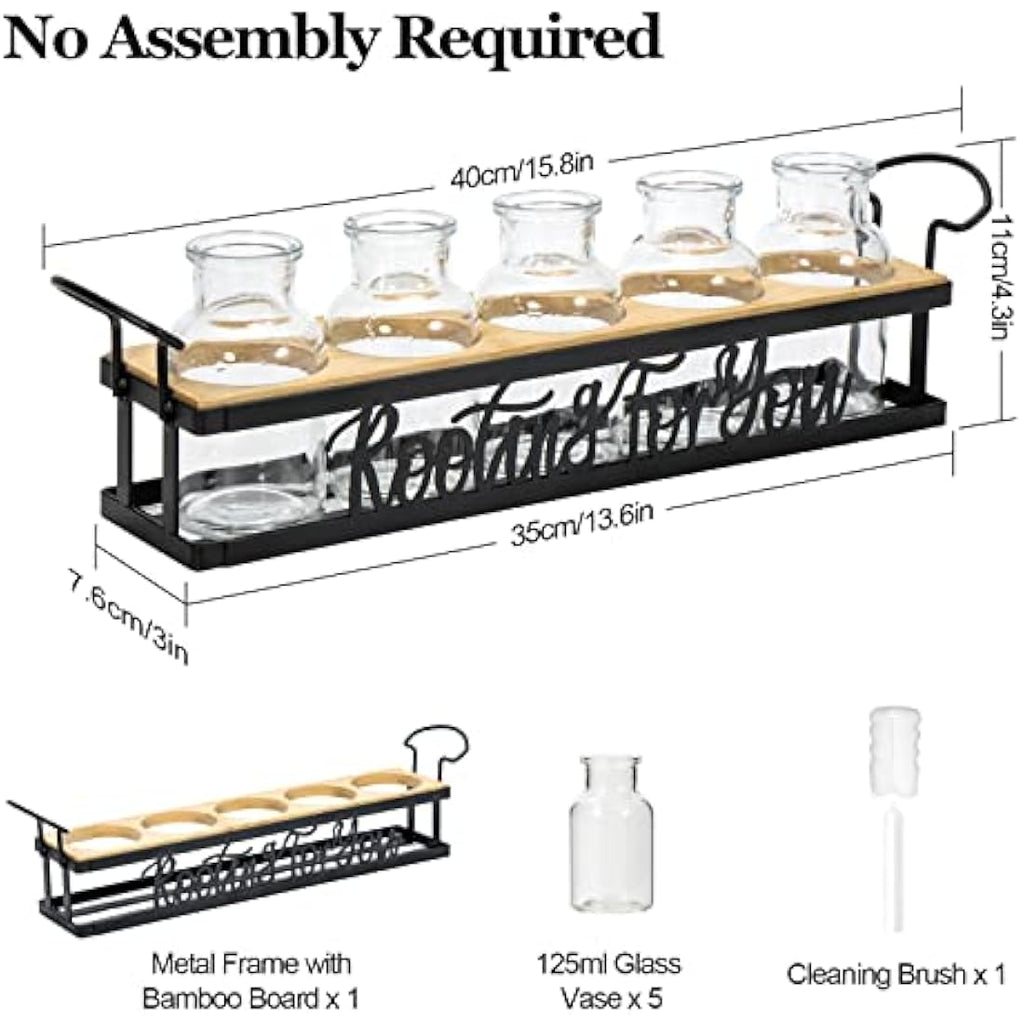 THYGIFTREE Plant Propagation Station | Metal Stand Glass Terrarium