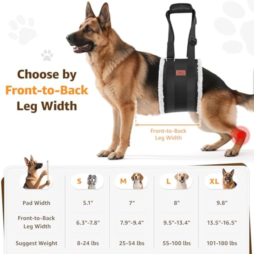 Dog Lifting Harness | Rear Leg Support Sling for Rehab – XL