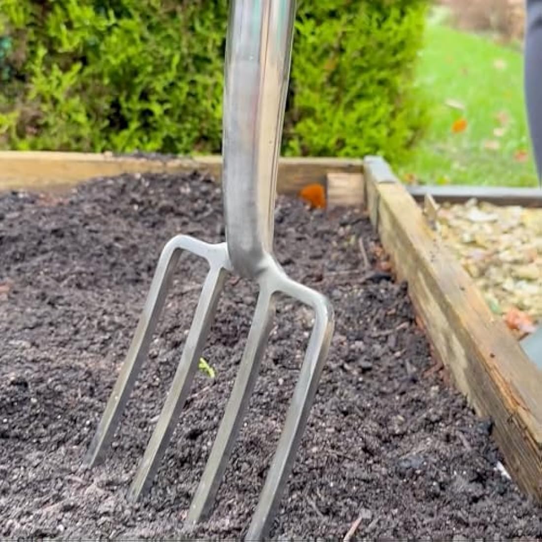 Spear & Jackson Border Fork – Stainless Steel & Hardwood Garden Tool