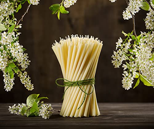 Danilovo White Beeswax Taper Candles - 500 Pack Drip-Free Church Candles